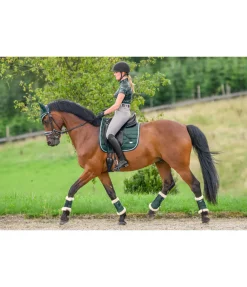 Online Tapis de selle Essential Tapis De Selle & Chabraques