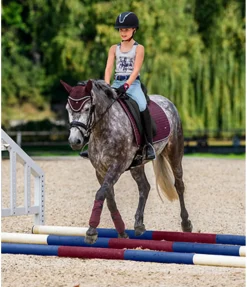 Discount Tapis de selle Basic Tapis De Selle & Chabraques