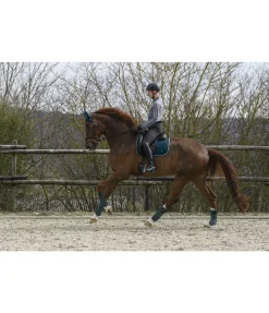 New Tapis de selle Basic Tapis De Selle & Chabraques