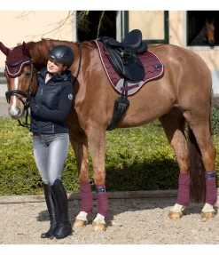 Online Tapis de selle Basic Pro Tapis De Selle & Chabraques