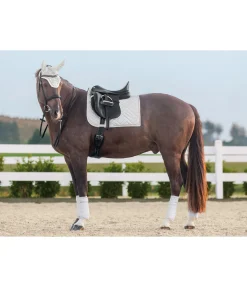 Discount Tapis de selle Brillant Tapis De Selle & Chabraques