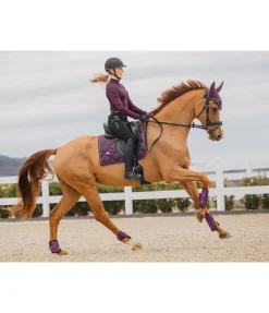 Discount Tapis de selle Signature II Tapis De Selle & Chabraques