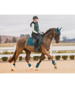 Clearance Tapis de selle Sophistication sans passants de contre-sanglons Tapis De Selle & Chabraques