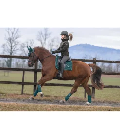 Best Tapis de selle Sparkling II Tapis De Selle & Chabraques