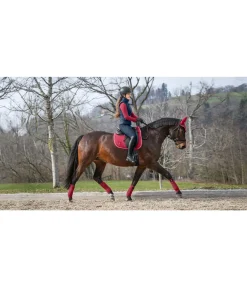 Online Tapis de selle en coton Basic Deluxe Tapis De Selle & Chabraques