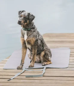 New Tapis de voyage Summer Couchages Pour Chien