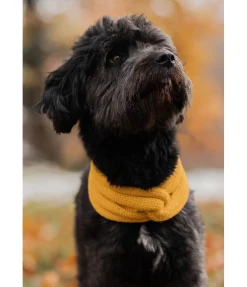 Sale Tour de cou en tricot pour chien Espi Accessoires Pour Chien