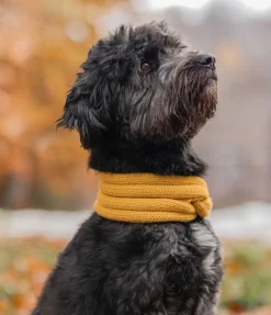 Sale Tour de cou en tricot pour chien Espi Accessoires Pour Chien