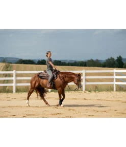 Sale T-Shirt Georgia Femme T-Shirts À Manches Courtes