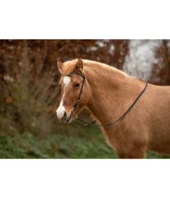 Sale Têtière Bjarni Muserolle Française & Combinée