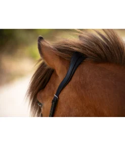 Discount Têtière anatomique Gilja Muserolle Française & Combinée