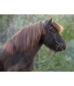 Discount Têtière anatomique Gilja Muserolle Française & Combinée