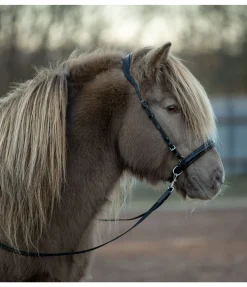 Discount Têtière anatomique Gilja Muserolle Française & Combinée