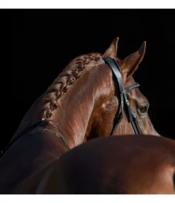 Sale Têtière en cuir gras Mix & Match PRO Anatomical Shape Bridons Mix & Match Pro