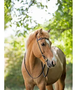 Discount Têtière islandaise Virtur Muserolle Française & Combinée