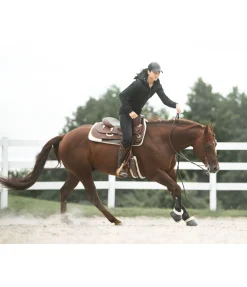 Veste thermique Femme Vestes & Manteaux