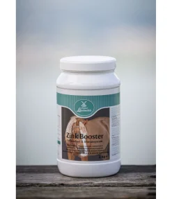 Online Zinc Booster Aliments Complémentaires